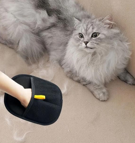 Pet Hair Removal Gloves - Hushay